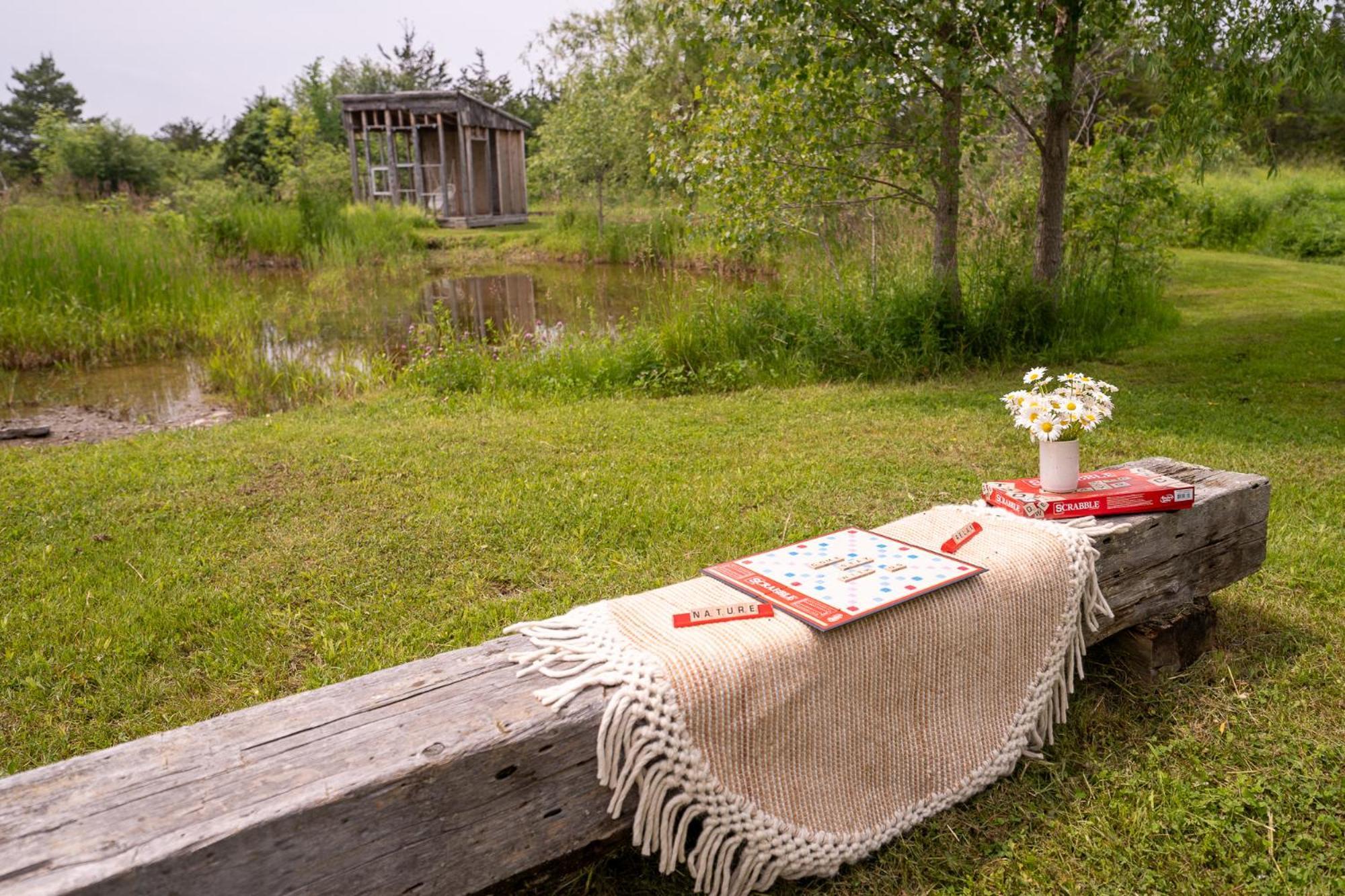 Owl'S Nest Suites Carrying Place Esterno foto